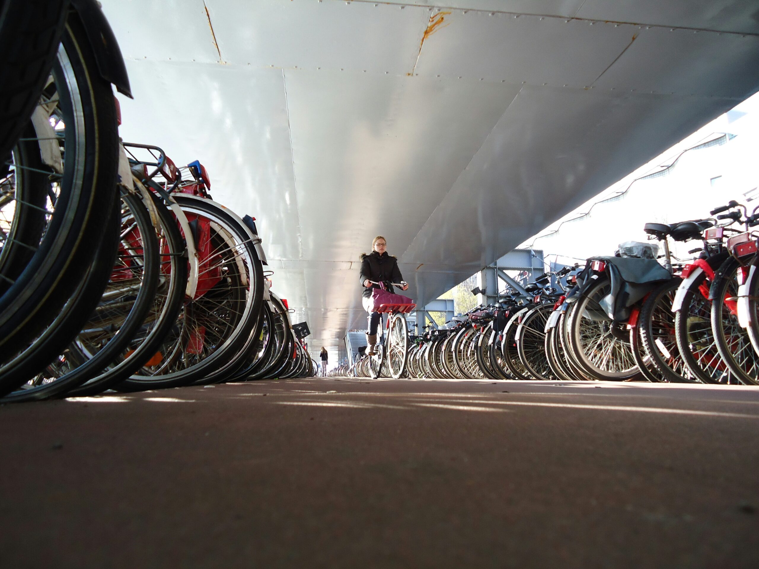 Multiple bicycles parked in a dedicated bike park, promoting sustainable transportation options.